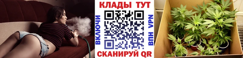 Наркотические вещества Ленинск-Кузнецкий A PVP Меф мяу мяу МАРИХУАНА Псилоцибиновые грибы Кокаин