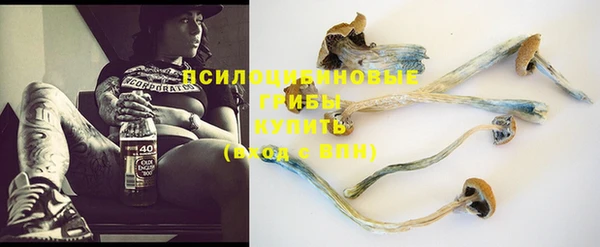 молекула духа Алексеевка