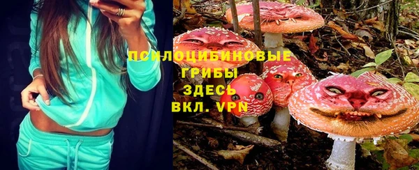 молекула духа Алексеевка