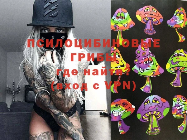 молекула духа Алексеевка